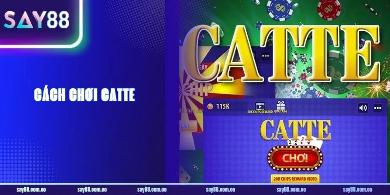 Cách Chơi Catte: Nhập Cuộc Tự Tin Với Quy Tắc Chuẩn SAY88