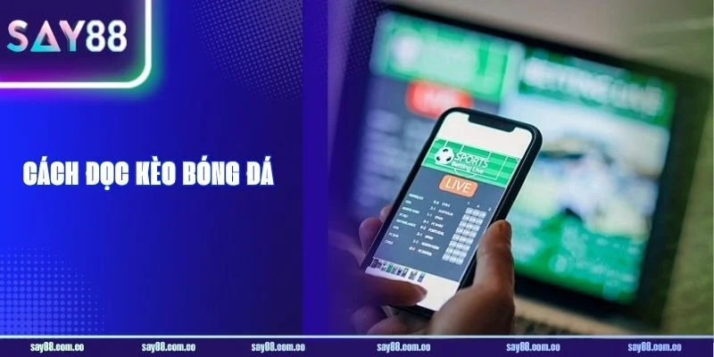 Cách Đọc Kèo Bóng Đá: Kiến Thức Cơ Bản Cho Tân Thủ SAY88