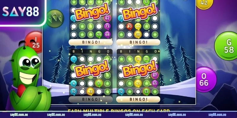 Luật chơi Bingo quy định cụ thể theo từng bước cược.
