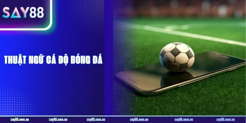 Các Thuật Ngữ Cá Độ Bóng Đá Cơ Bản Cho Newbies Tại SAY88